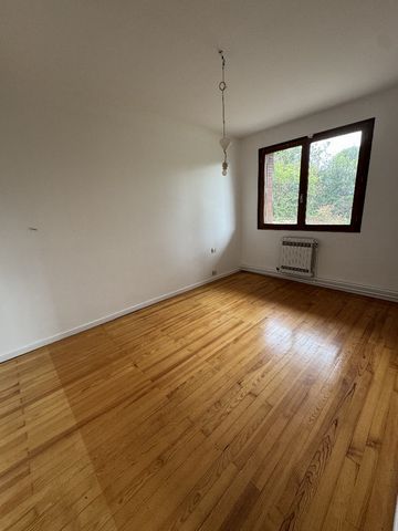photo no. 11