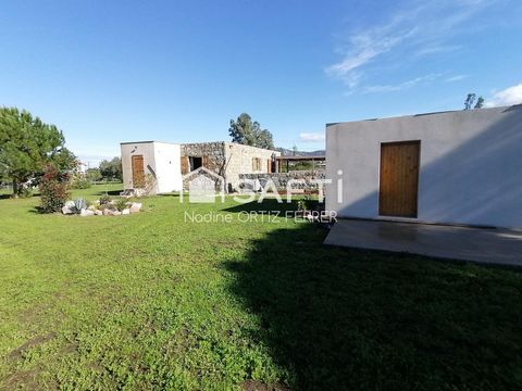 photo no. 8