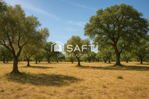 photo no. 1