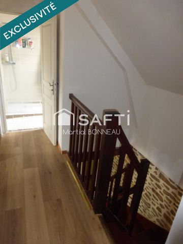 photo no. 11