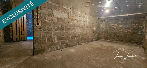 photo no. 15