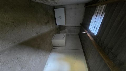 photo no. 13