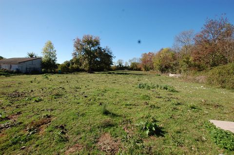 photo no. 10