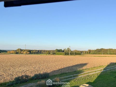 photo no. 13