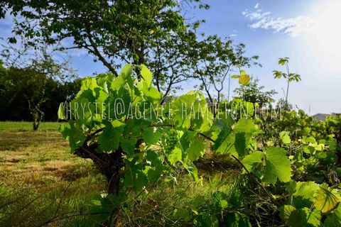 Agréable terrain constructible de 976M2 en exclusivité, au calme et sans vis à vis.