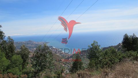   Plot of land with 700m2 by road in Cãmara de Lobos with good accessibility, quiet place and with an excellent sun exposure located near Cabo Girão.  With fabulous and unique roadside views this south-facing suit has a good sun exposure. Quiet place...