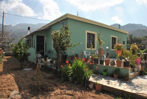 A spacious detached single level house on a private garden plot located in the pretty village of Kato Horio, East Crete. The property is arranged as a main house with an attached self contained annex and comprises… Sun room. MAIN HOUSE Inner hallway....