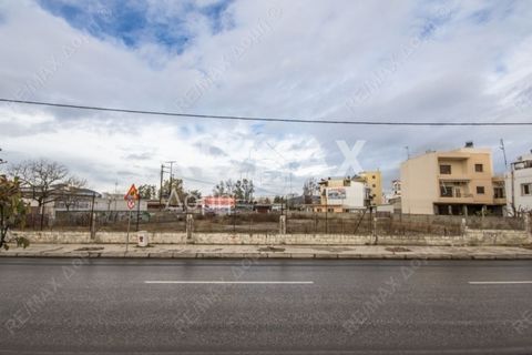 Real estate investment consultant: Sianos Konstantinos, member of the Sianos-Papageorgiou group. Available for sale, exclusively by our team, in the Neapolis area on Athens Avenue, a corner buildable plot with a total area of 1,559 sq.m. The frontage...
