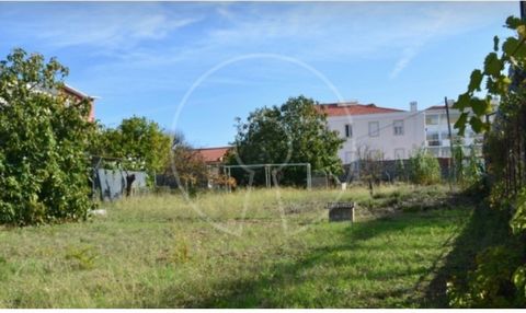 With an excellent location, next to the Ajuda University Polo, this land with 2,000 sqm of area is located in the Alto da Ajuda, at Sítio do Casalinho, opposite the Faculty of Architecture of the University of Lisbon. The terrain is still classified ...