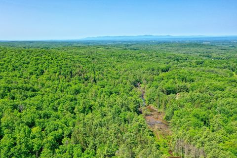Over 195 acres of scenic Hudson Valley land. This beautiful property includes views of the Catskill Mountains, a pond, meandering stream & woodlands. Spottings of otters, moose, and beavers. A perfect park-like site for hiking, exploring and conserva...