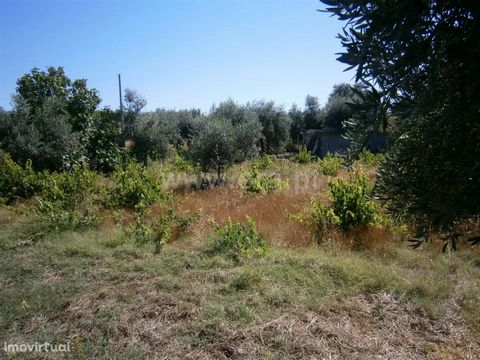 Rustic land with 280 m2 with well which benefits from good access in tar.. This land also includes an agricultural support house. with 14 m2. Excluded from the SCE, under Article 4, of Decree-Law No. 118/2013 of 20 August.