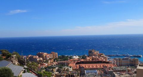 Property near Monaco and beaches Marque/ centre of the town in this vibrant village on the French Riviera. Please see our apartment in Cap d'Ail for sale. Amazing Property with sea view in a quiet area at the gate of Monaco. This fantastic property i...