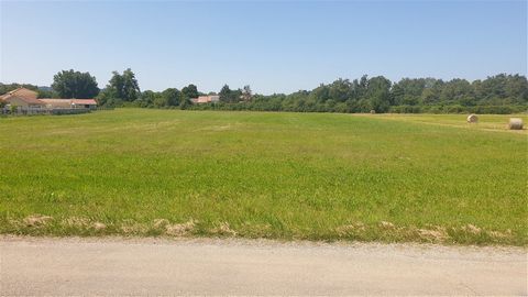 TREPT, flat square land sold serviced with mains drainage for the creation of a straight or L-shaped single storey house. To see without delay with your sales agent Sébastien MASSARDIER EI by contacting him on ( RSAC Vienna no. 00035) This announceme...