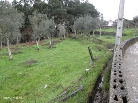 * 3200 m² of land * Front about 100 m * House to recover with stone walls * Unobstructed views * Possibility to build Semi-detached houses * Good Solar Orientation Farm with about 3200 m² of land, old house (ruins) with stone walls of the time, tank,...