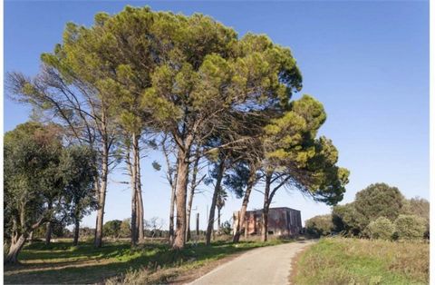 Charming property for sale in Puglia with land and annexes in need of renovation. Located between the medieval town of Oria and Latiano the property originally was a traditional 18th century wine factory with aboout six hectares of vineyards (now ara...