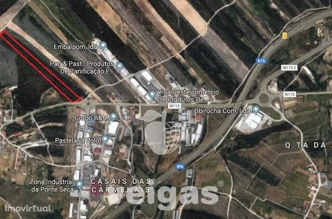 Land in industrial zone, with eucalyptus planted. It has the possibility of construction of warehouse in 50% of the land. Well situated, with good access, close to motorway entrance, Caldas da Rainha and Óbidos.