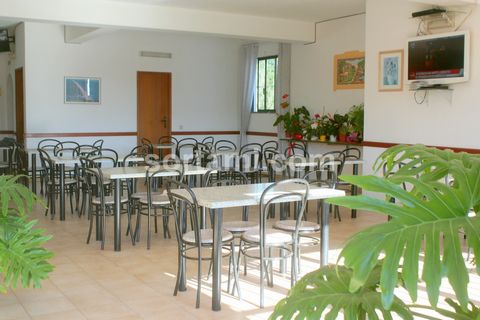 Snack bar with ground floor, basement, games room and parking. On the first floor you have six apartments, with the possibility of building a pool. Ideal as a hostel, very well located just 3.5 km from the golf course, 9 km from the beach, 2.5 km fro...