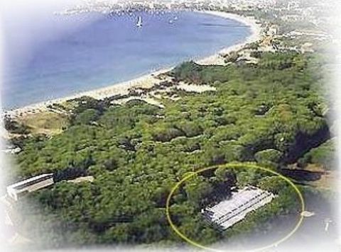 This small friendly apartment complex occupies a great location on one of the most beautiful beaches on the island of Elba. Typical tall pine trees separate the complex from the beautiful beach. The complex is located within walking distance of the t...