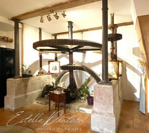 Residence Bourgoin-Jallieu sector 38300 In the middle of nature but only a few minutes from Bourgoin-Jallieu and the motorway, hides this magnificently renovated old mill, with a total surface area of about 465 m2 of living space. With 8 spacious bed...