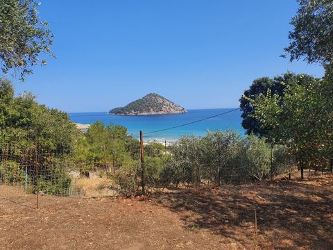 Property Code: 11466 - House FOR SALE in Thasos Koinira for €255.000 . This 40 sq. m. furnished House is on the Ground floor and features 1 Bedroom, an open-plan kitchen/living room, bathroom and a WC. The property also boasts unobstructed view, Wind...