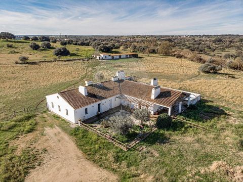 Description Farm with unique and exclusive characteristics located just a few minutes from the village of Redondo in the District of Évora. With great accessibility, we find a rustic property fully fenced with differentiating factors such as the supp...