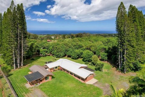 HUGE 37+ Acres in Haiku/Makawao featuring a main house with dual living areas and a separate cottage. Also includes a greenhouse with utilities. Stroll through a park-like estate boasting over 300 mature LYCHEE trees (5 varieties). This is one of Haw...