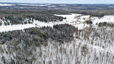 Schönes flaches Stück Land, komplett bewaldet, 123 739,8 Quadratmeter zu bauen. Nachbar von 1841 rte 210. 35 Minuten von Sherbrooke entfernt. Warten auf die Eintragung der Katasternummer durch Quebec. EINSCHLÜSSE -- AUSSCHLÜSSE --