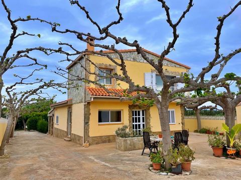 Magnificent villa situated in a residential area 5 minutes from Amposta. Situated on a plot of 1.800 m² with mains water and electricity. The main property with a constructed area of 190 m², is built on two floors and is distributed in entrance hall,...