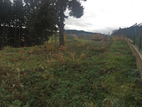 Dunières terrain viabilisé 1218 m² , bonne exposition et vue dégagée, à deux minutes du centre du village et de toutes commodités. Pour visiter et vous accompagner dans votre projet contactez Gisèle LYONNET 06.21.41.08.93 ou par courriel à g.lyonnet@...