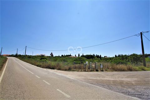 Este grande terreno de construção está localizado nos arredores da vila de Barão São Miguel. A urbanização tranquila, mas de fácil acesso, está dividida em 21 grandes lotes urbanos, todos para moradias independentes. Este lote tem um total de 4350m2 ...