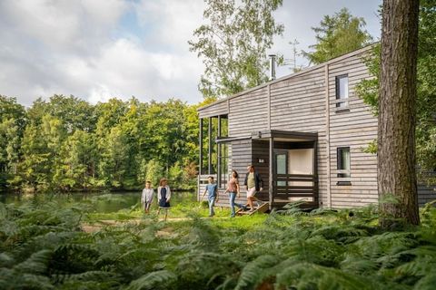 Ontdek de bekroonde charme van Your Nature, erkend als “Leisure Award Winning Park”! Met zijn uitzonderlijke voorzieningen en duurzaam ontwerp is het de ultieme bestemming voor ontspanning en avontuur in een adembenemende natuurlijke omgeving. Check-...