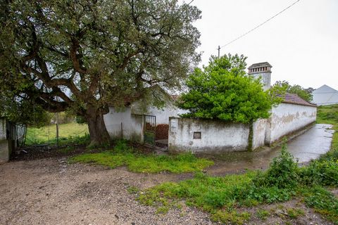 *Bezoeken tijdelijk niet beschikbaar* Gelijkvloers huis in Sobral de Monte Agraço voor totaal herstel en met de mogelijkheid om naar wens te verbouwen en te herstellen, met een royale oppervlakte en met verschillende ruimtes die de mogelijkheid biede...