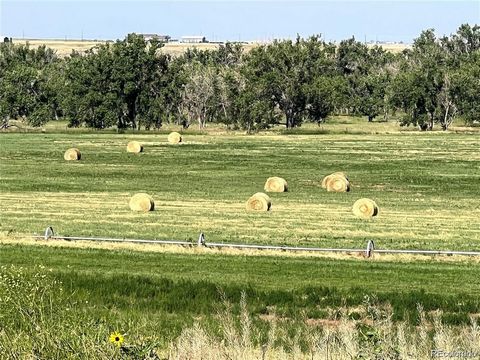 Premium Creek Bottom and Mountain View Acreage with Water Right, already subdivided into 5 Premium Lots. Rarely will you find a property with full front range mountain views along with wide creek bottom. The view from Pikes Peak to Longs Peak will ne...