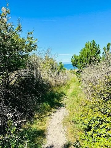 Sie suchen Ihre nächste Investition? Willkommen zu Ihrem eigenen Stück unberührter Natur an der Ostsee - ein geschütztes Biotop, das auf 569 Quadratmetern entlang der Küste liegt. Diese Oase der Ruhe bietet Lebensraum für seltene Pflanzen und Tiere u...