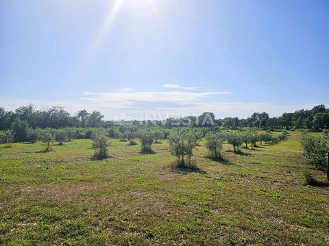 Location: Istarska županija, Pula, Okolica. Investitionsmöglichkeit im Süden Istriens – Tourismus- und Landwirtschaftsprojekt Wir präsentieren Ihnen eine einzigartige Investitionsmöglichkeit im Immobiliensegment in der Region Südistirien in der Nähe ...