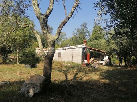 Rovinj, Propriété Parfaite pour Détente et Agritourisme À vendre, une propriété exceptionnelle située près de la belle Rovinj (à 1,7 km de la mer), idéale pour tous ceux qui recherchent une échappatoire paisible dans la nature ou souhaitent développe...