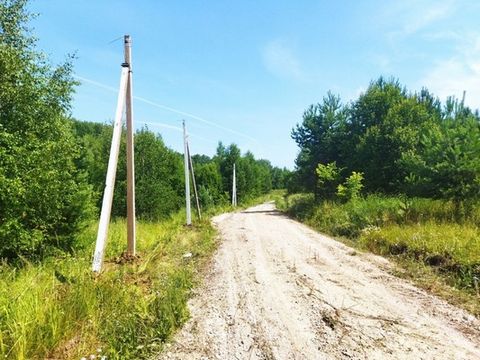 Продам участок в деревне Белугино. Место жилое! Рядом несколько крупных поселков, магазин, автобусная остановка. 95 км от МКАД по Каширскому или Симферопольскому шоссе). Удобный круглогодичный подъезд с двух трасс. Возможность добраться без автомобил...