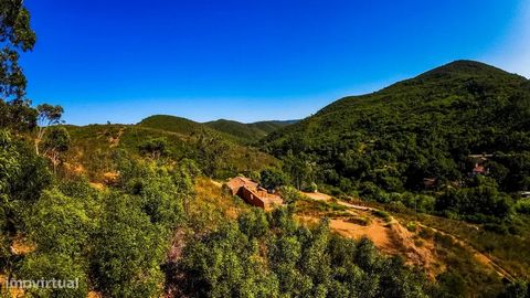 Kleiner Bauernhof in Vale das Cercas Aljezur mit einer Fläche von 9716 m2 und einer Ruine, die es mit 139 m2 zu bergen gilt. Auf dem Grundstück gibt es Strom und das Wasser ist frisch und ein Brunnen, ein Teil des Grundstücks grenzt an den Bach Cerca...