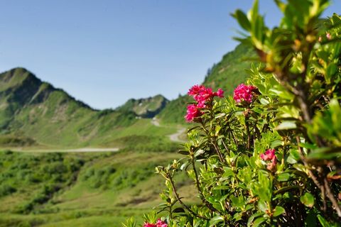 Benvenuto nel tuo rifugio per le vacanze definitivo nella pittoresca campagna di Damüls, in Austria! Questo appartamento al piano terra offre un mix perfetto di comfort, praticità e avventura, rendendolo un rifugio ideale per famiglie e amici in cerc...