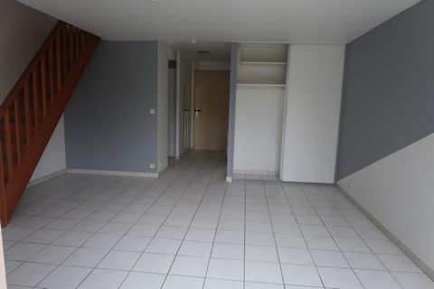 photo no. 8