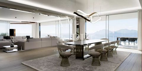 photo no. 8