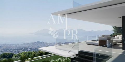 photo no. 12