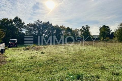 1,418 m² of open space for your dream home Building without compulsion! Discover this spacious building plot with approx. 1,418 m² in the attractive town of Höchstadt an der Aisch! The property is located in a quiet residential area and offers a vari...