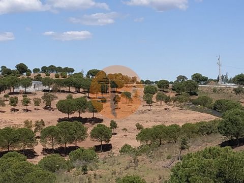 Grundstück mit 57.810 m2, mit BAUMÖGLICHKEIT, zwischen Cooper und Corte do Gago in der Gemeinde Azinhal, Castro Marim - Algarve. Guter Zugang über asphaltierte, asphaltierte Straße. Land mit Pinien und einigen Bäumen. Offener Blick auf die Berge. Mit...