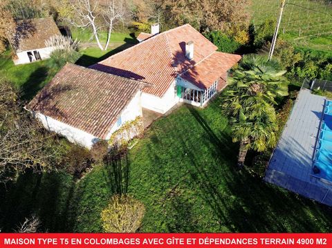 Charmante maison à colombages de type T5, d'une superficie de 157 m², accompagnée d'un gîte non attenant de 33 m², le tout niché au calme sur un terrain entièrement clôturé de 4921 m². Vous pourrez également profiter d'une belle piscine, située à pro...