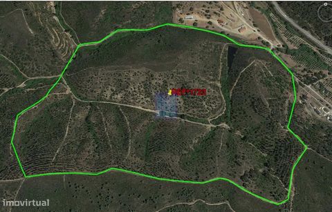 Terreno rústico com uma pequena barragem e medronheiros, com uma área total de 27,2 hectares. Este terreno, além da possibilidade de construção, oferece também um bom rendimento, está localizado a apenas 12 km do núcleo urbano mais próximo e a 18km d...