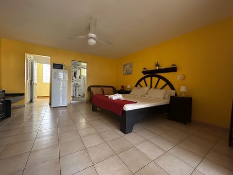 Studio Apartment in the centre of Sosua with just 30% Downpayment for sale! With a size of 49SQM / 530 SQFT and fully furnished you are ready to move in your Unit or use it as an Investment for rental purposes. Europa Plaza is a well known complex ju...