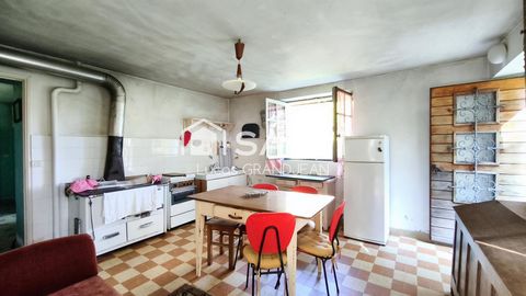 photo no. 6