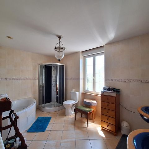 photo no. 6