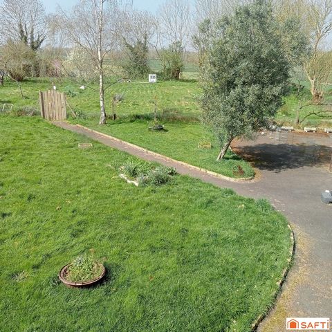 photo no. 19